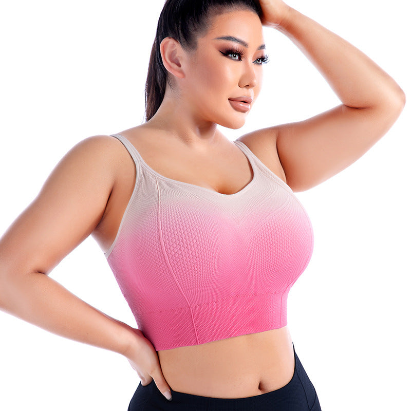 Active Wear Plus/Curve